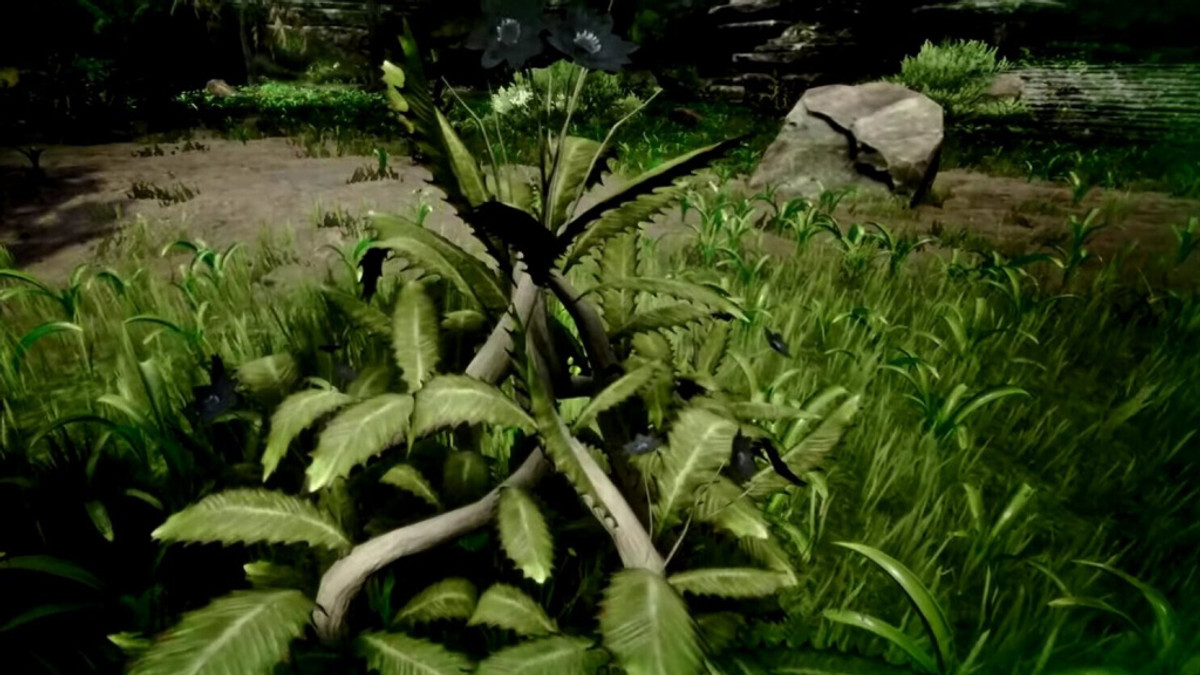 Conan Exiles Black Lotus Flowers Locations Uses GINX TV