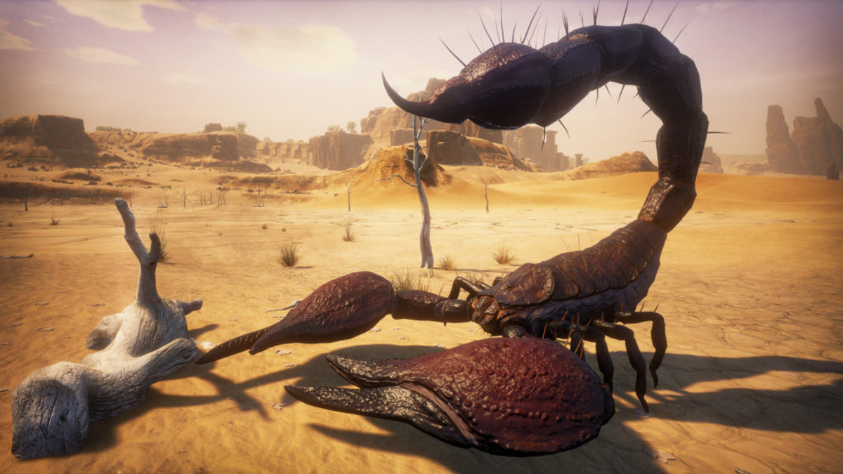 Conan Exiles Scorpion Hatchling – Locations & How To Get - GINX TV