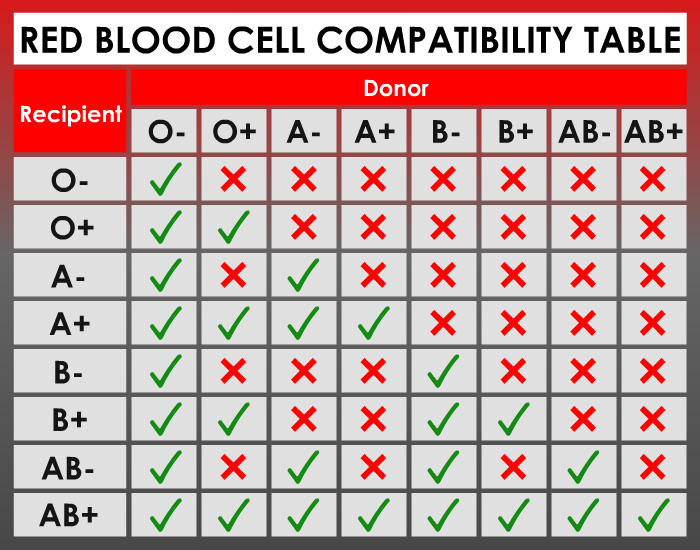 dayz-blood-type-chart-compatibility-ginx-tv