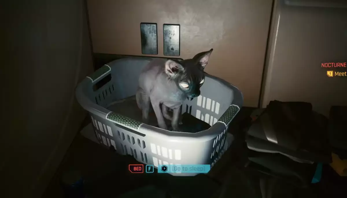 Aww, cats get a HUD icon now so you don't forget to pet it : r/cyberpunkgame