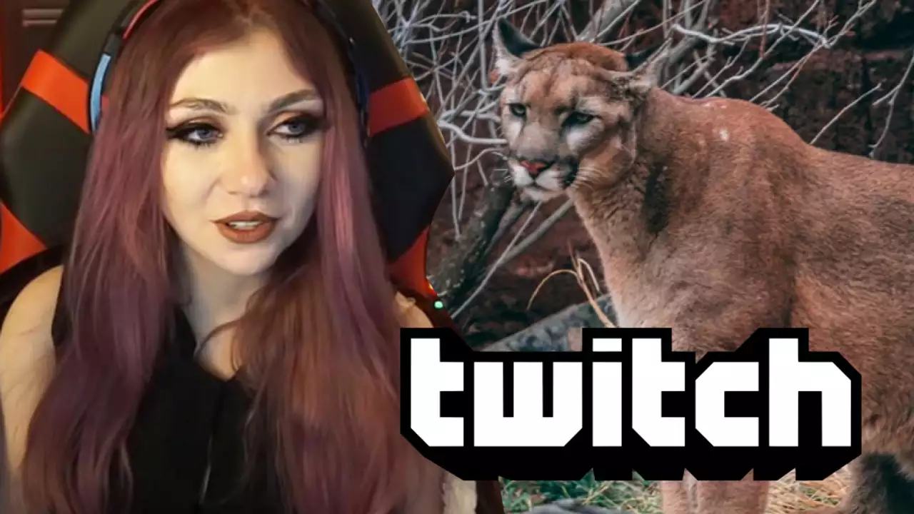 JustaMinx explains her bloody injuries were caused by wild animal