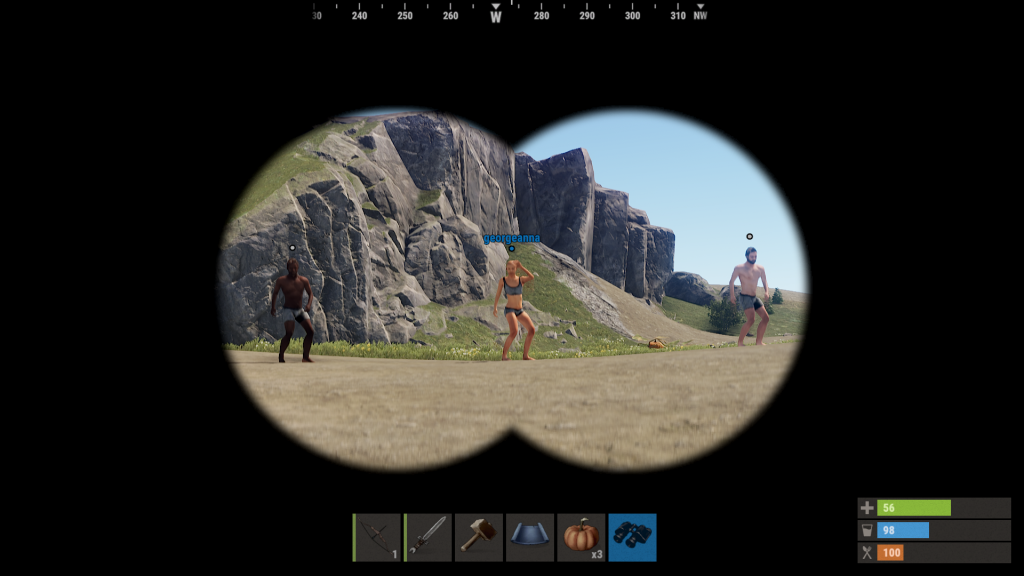 rust video game contact